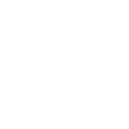 icono desarrollo web blanco