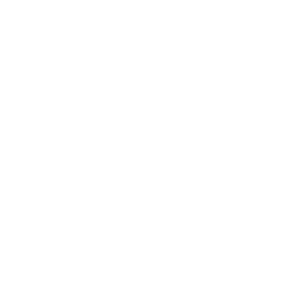 web-development icono desarrollo web blanco